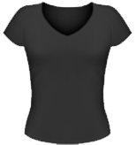 Ladies V-neck
