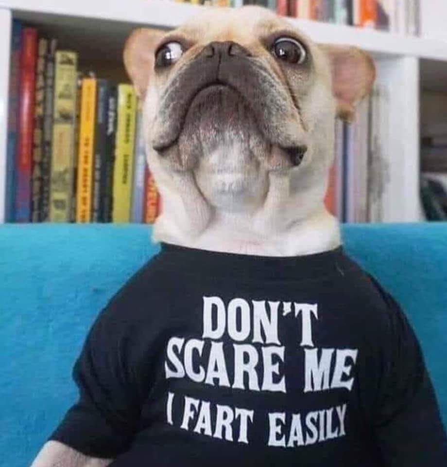 Funny Dog Don't Scare Me I Fart Easily Shirt Tank top