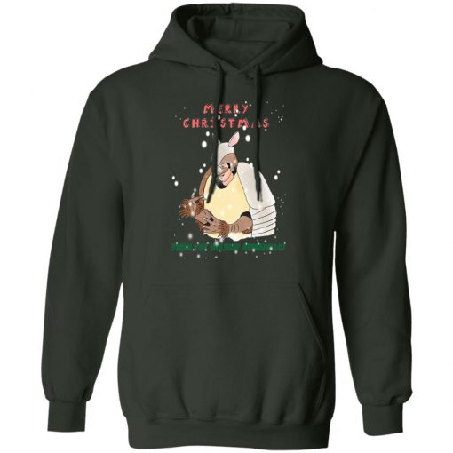 Merry Christmas From The Holiday Armadillo hoodie