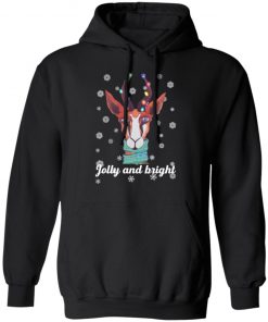 Illustrated Christmas Unique Colourful Jolly and Bright hoodie