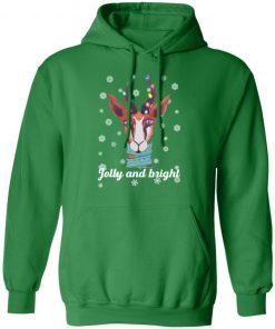 Illustrated Christmas Unique Colourful Jolly and Bright hoodie