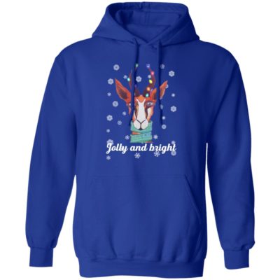 Illustrated Christmas Unique Colourful Jolly and Bright hoodie