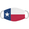 Flag of Texas state face mask Washable, Reusable