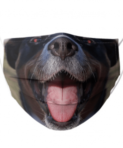 APPENZELLER MOUNTAIN DOG SHOW TOUNGUE BLACK FACE MASK CUTE PET LICKING CLOSE UP MOUTH