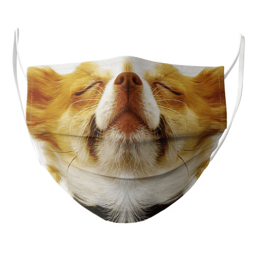 CHIHUAHUA SHOWING CONTENTMENT CUTE PUPPY SLEEPING MOUTH NOSE DOG MASK