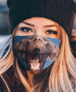 LABRADOR BROWN PORTRAIT SHOWING TEETH FIT YOUR FACE AND NOSE FACE MASK