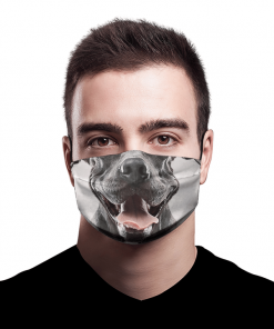 PITBULL DOG PORTRAIT WITH HUMAN EXPRESSION FACE MASK