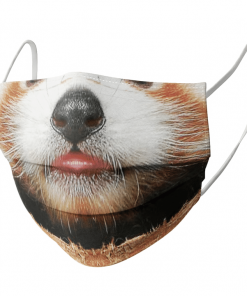 RED RARE PANDA CUBS CUTE FACE MASK