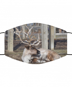 Reindeer at the Columbus Zoo Face Mask