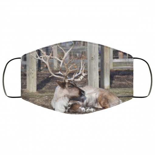 Reindeer at the Columbus Zoo Face Mask