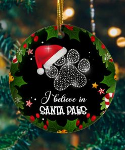 Believe in Santa Paws Funny Christmas Cat Flat Holiday Circle Ornament