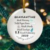 2020 Quarantine Ornament Pandemic Decorative Christmas Holiday Ornament