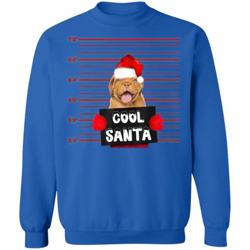 Cool Santa Dogue De Bordeaux Dog Christmas Funny T-Shirt