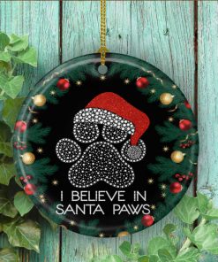I Believe In Santa Paws Pet Lover Christmas Tree Circle Ornament Keepsake Santa Paws Gifts Ornament