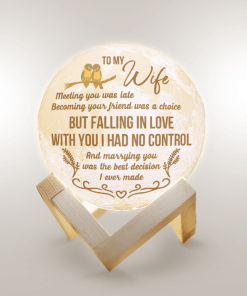 To My Wife Marrying You Was The Best Decision I Ever Made Moon Lamp