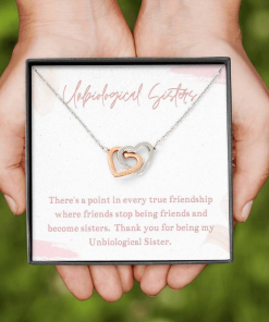 Unbiological Sister There A Point In Every True Friendship Where Friends Stop Being Friends And Become Sisters Necklace