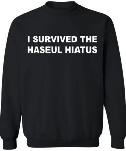 I Survived The Haseul Hiatus Shirt, Long Sleeve, Sweatshirt, Tank Top, Hoodie