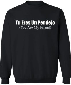 Tu Eres Un Pendejo You My Friend Shirt