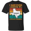 I Survived Snovid 21 Texas Strong Retro Vintage Style T-Shirt