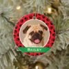 Personalized Dog Name Photo Red Pet Paw Prints Ornament