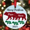 Personalized Family Bear with Bear Cubs Name Year Christmas Ornament 1