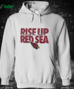 Unisex Hoodie Arizona Cardinals Hometown T Shirt