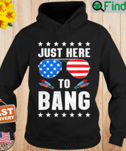 4th of July Im Just Here To Bang USA Flag Sunglasses Hoodie