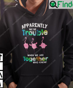 Apparently We Are Trouble When We Are Together Flamingo Hoodie