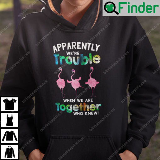 Apparently We Are Trouble When We Are Together Flamingo Hoodie