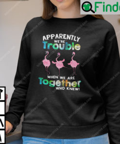 Apparently We Are Trouble When We Are Together Flamingo Sweatshirt