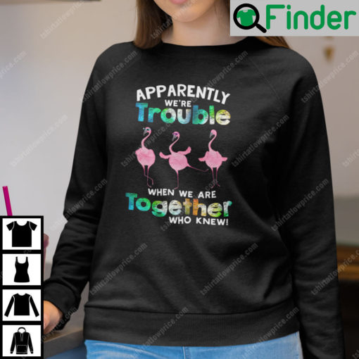 Apparently We Are Trouble When We Are Together Flamingo Sweatshirt