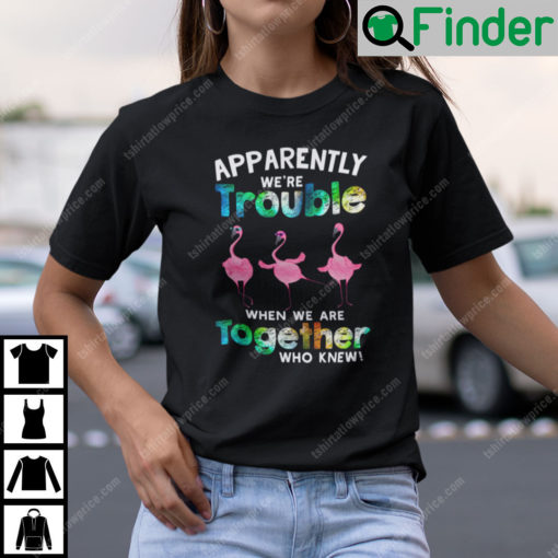 Apparently We Are Trouble When We Are Together Flamingo T Shirt