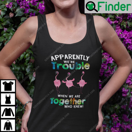 Apparently We Are Trouble When We Are Together Flamingo Tank Top