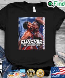 Arizona Wildcats Tucson Clinched 2022 Champions Shirt