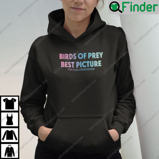 Birds of Prey Best Picture for Your Consideration Hoodie