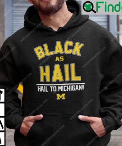 Black As Hail Hoodie Hail To Michigan