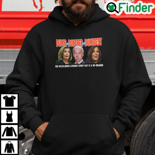 Dumb And Dumber And Dumbest For Pelosi Biden And Harris Hoodie