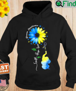 Faith Hope Love Awareness Downs Syndrome the Blue Elephant Hoodie