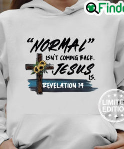 Funny Adult Normal Isnt Coming Back Jesus is Christian Cool Hoodie