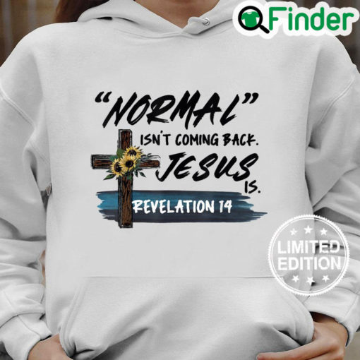 Funny Adult Normal Isnt Coming Back Jesus is Christian Cool Hoodie