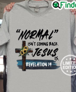 Funny Adult Normal Isnt Coming Back Jesus is Christian Cool Sweatshirt