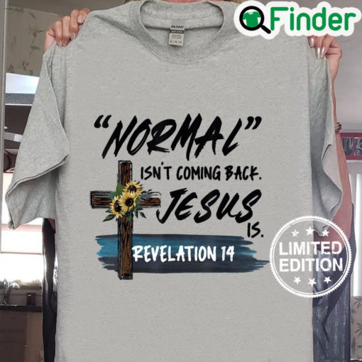 Funny Adult Normal Isnt Coming Back Jesus is Christian Cool Sweatshirt