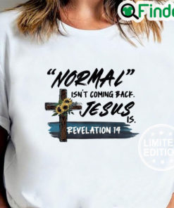 Funny Adult Normal Isnt Coming Back Jesus is Christian Cool T Shirt