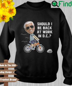 Joe Biden should I be back at work in dc sweatshirt