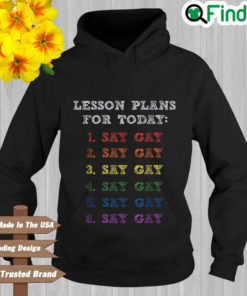 Lesson Plans For Today LGBTQ Say Gay Hoodie