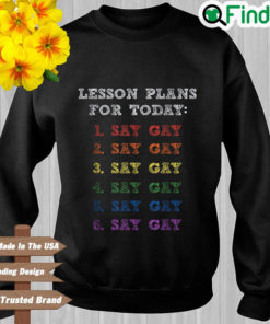 Lesson Plans For Today LGBTQ Say Gay Sweatshirt