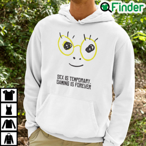 Sex Is Temporary Gaming Is Forever Hoodie