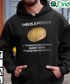 This Is A Potato If This Potato Was Running Against Biden Id Vote For Potato Hoodie