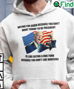 Voting For Biden Because You Dont Want Trump To Be President Hoodie