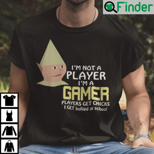 Im Not Player Im Gamer Shirt Players Get Chicks I Get Bullied At School Sonic The Hedgehog For Men Women